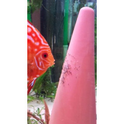 JBL DisCon | Spawning Cone for Discus and Angel Fishes