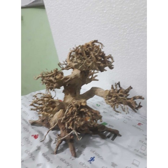 BONSAI TREE DRIFTWOOD - 6 INCH HEIGHT