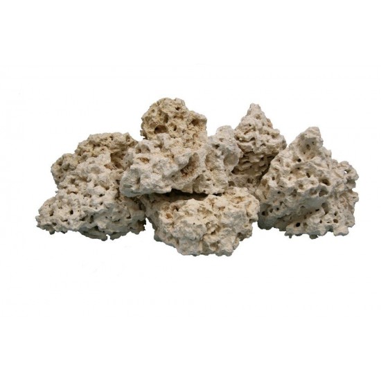Dry REEF Rocks - Coral Base Rocks for Aquarium