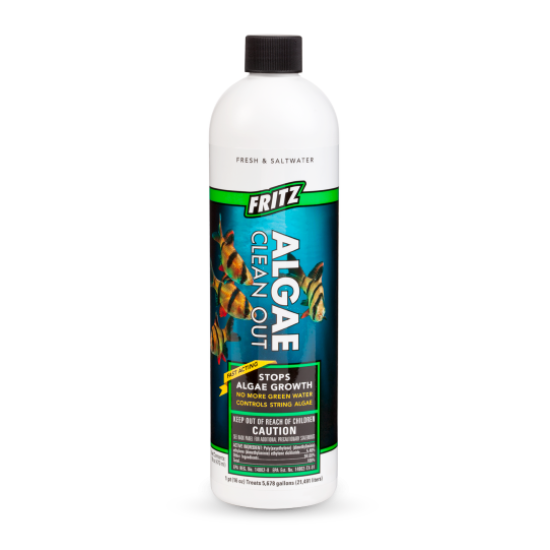 Fritz Algae Clean Out