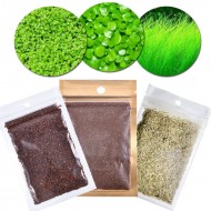 Fish Tank Aquarium Plant Seeds Aquatic Water Grass Garden Foreground Plant Best Aquarium Decoration