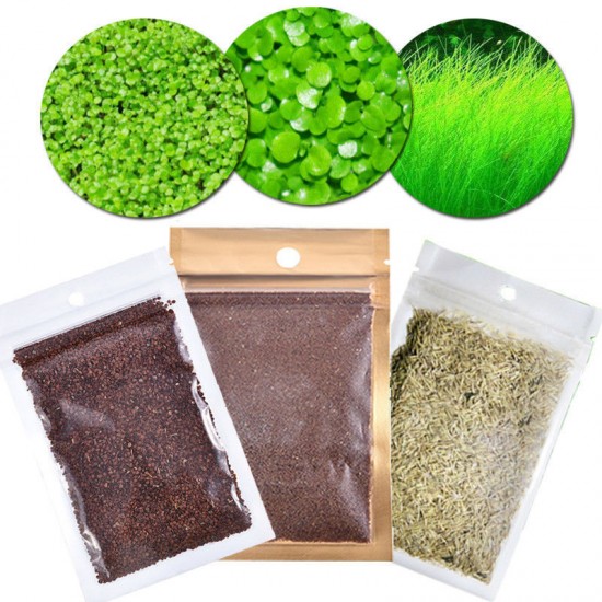 Fish Tank Aquarium Plant Seeds Aquatic Water Grass Garden Foreground Plant Best Aquarium Decoration