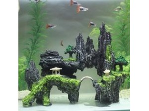 Cool Decoration Items That Will Give a Whole New Look to Your Aquarium