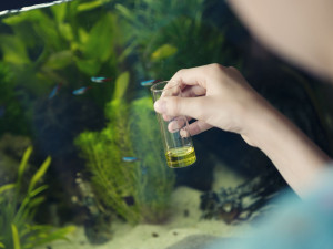 Water Treatment Products and Digital Gadgets Bound to Help Your Aquarium Fishes