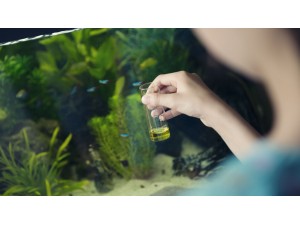 Water Treatment Products and Digital Gadgets Bound to Help Your Aquarium Fishes