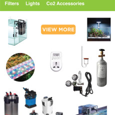 AQUARIUM ACCESSORIES