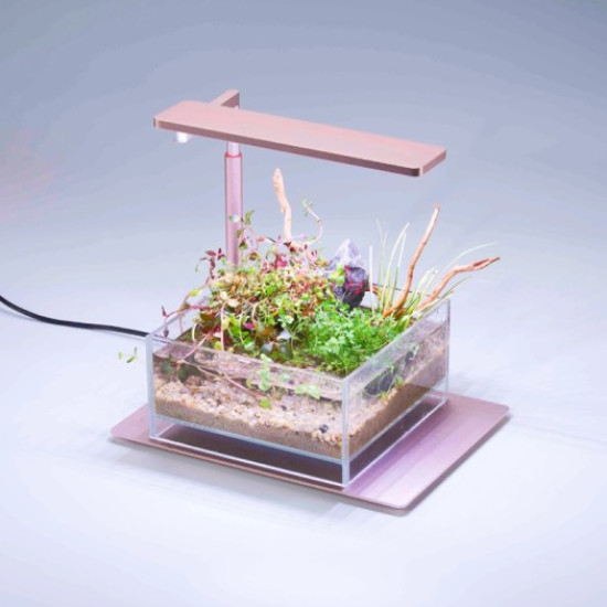 Ledstar AQ N Version II WRGB Nano Led Light With App Control