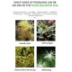 Netlea Professional Aquarium Planted Soil