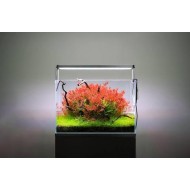 TWINSTAR III 600EA LED LIGHT | RGB FULL SPECTRUM | FOR 600-700MM TANKS