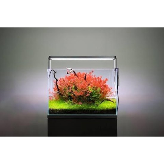 TWINSTAR III 600EA LED LIGHT | RGB FULL SPECTRUM | FOR 600-700MM TANKS