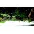 Beena Aquarium Sugar Type Sand Gravel for Aquarium Decoration (5KG-10KG-15KG-20KG-25KG-White)