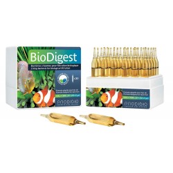 Prodibio Bio Digest | 30 Vials | Imported from France