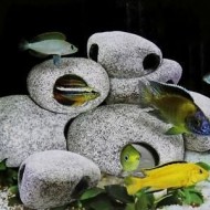 Hot Chichlid Stones Aquarium Ceramic Rock Cave Fish Tank Decoration - Model - 2