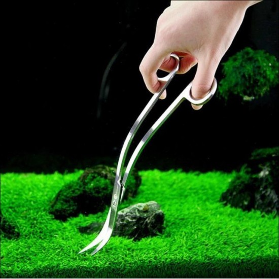 WYIN W03-05 Wave Scissor Aquarium Stainless Steel For Fish Tank | 24cm
