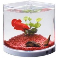 Dophin T101 Corner Pentagon Aquarium Tank  (1.4 L)