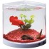Dophin T101 Corner Pentagon Aquarium Tank  (1.4 L)