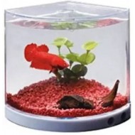 Dophin T201 Corner Pentagon Aquarium Tank (1.6 L)