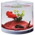 Dophin T201 Corner Pentagon Aquarium Tank (1.6 L)